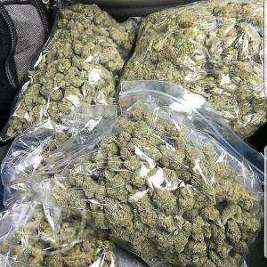 Buy top Shelf Marijuana Indoor strains