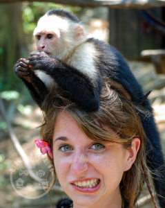 Google Diaper Trained Capuchin & Marmoset Monkey