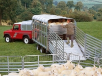 Ifor Williams Livestock Trailers DP120 Models